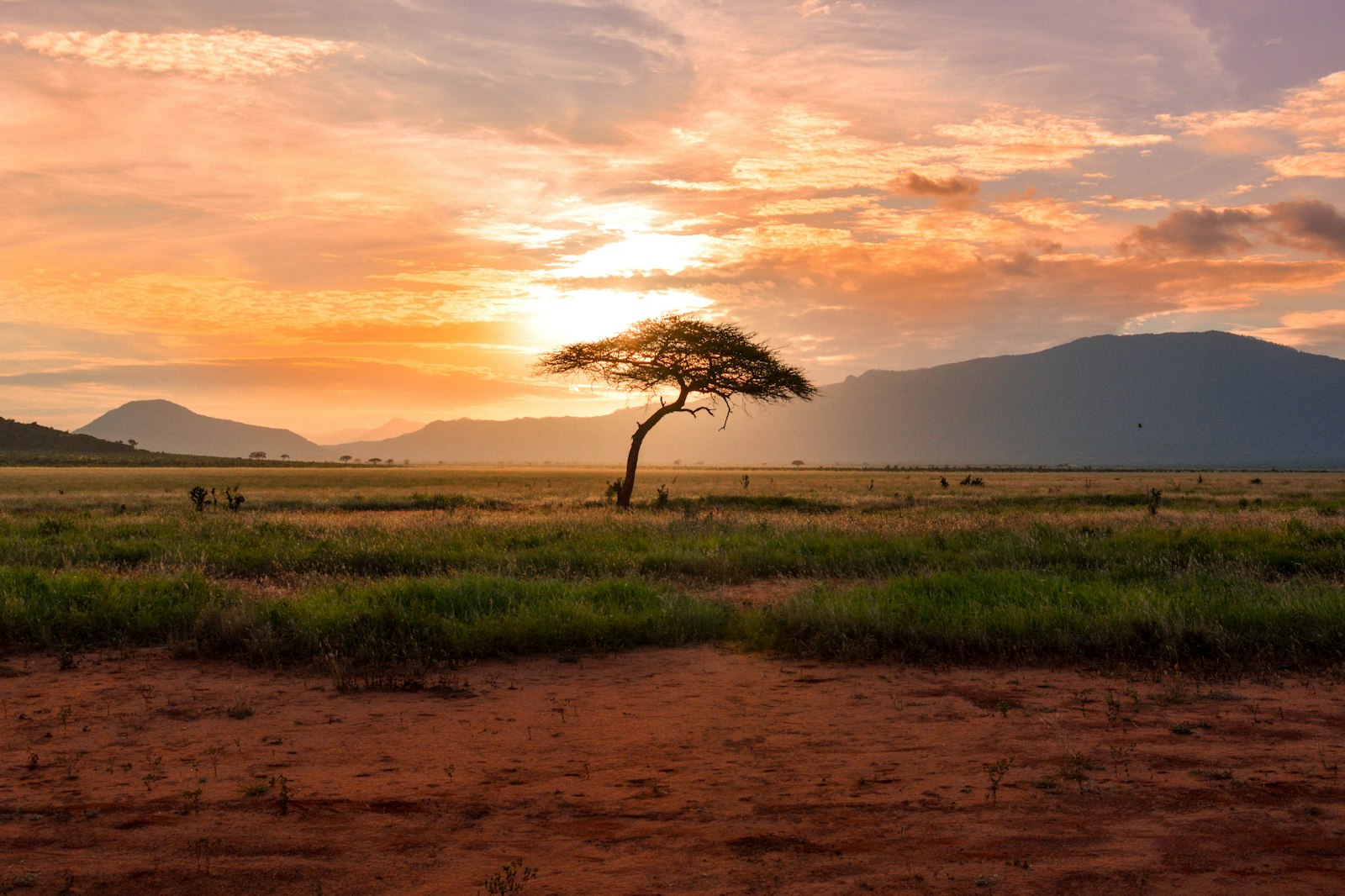 Maasai Mara Safari